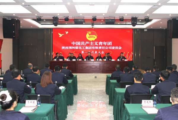 共青團(tuán)渭化集團(tuán)公司委員會(huì)第一次代表大會(huì)勝利召開(kāi)